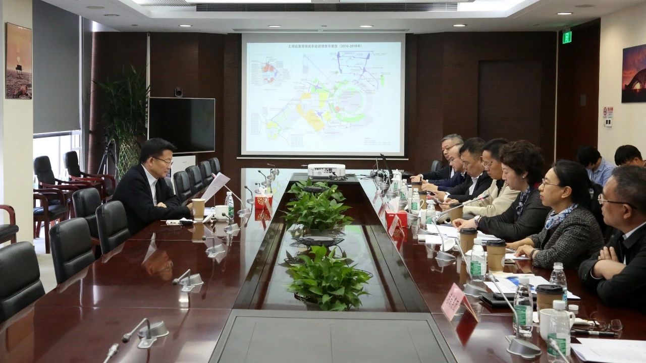 時光輝副市長赴臨港地區調研海綿城市建設工作